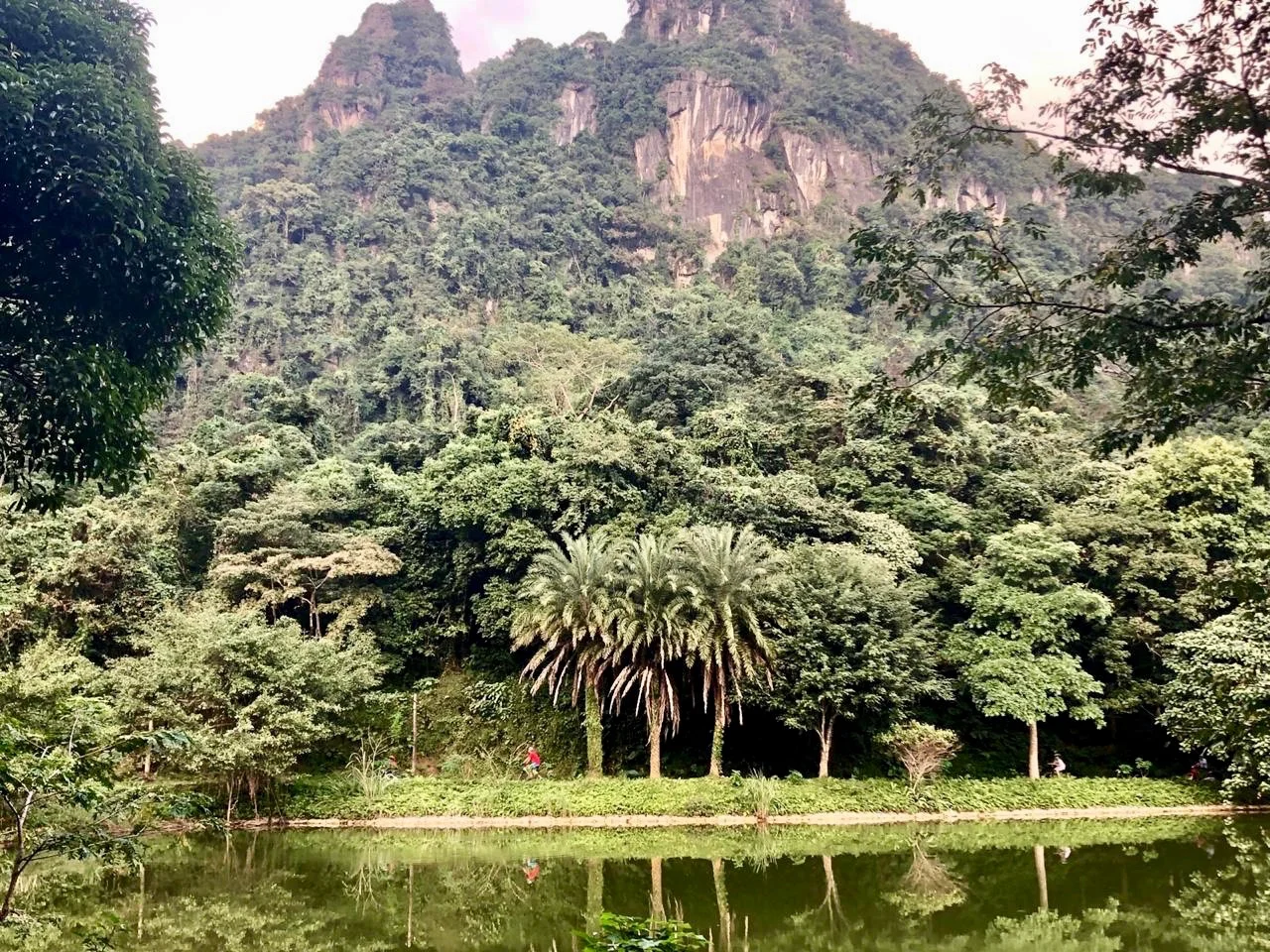 image_6483441 (1) copy.jpg